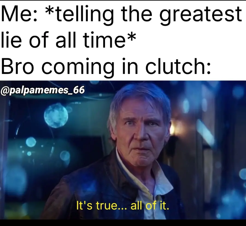 Me: *telling the greatest lie of all time* Bro coming in clutch: @palpamemes_66 It's true... all of it.