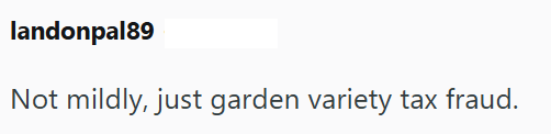 landonpal89 Not mildly, just garden variety tax fraud.