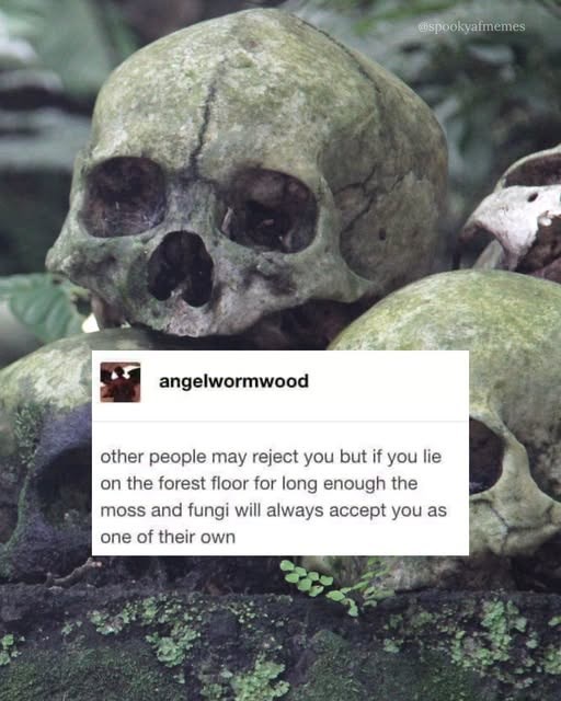 angelwormwood spookyafmemes other people may reject you but if you lie on the forest floor for long enough the moss and fungi will always accept you as one of their own