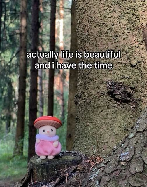 actually life is beautiful and i have the time