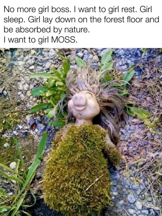 No more girl boss. I want to girl rest. Girl sleep. Girl lay down on the forest floor and be absorbed by nature. I want to girl MOSS.
