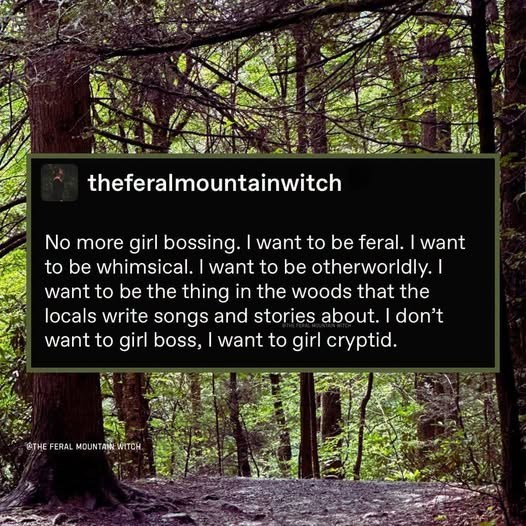 theferalmountainwitch No more girl bossing. I want to be feral. I want to be whimsical. I want to be otherworldly. I want to be the thing in the woods that the locals write songs and stories about. I don't want to girl boss, I want to girl cryptid. THE FERAL MOUNTAIN WITCH.