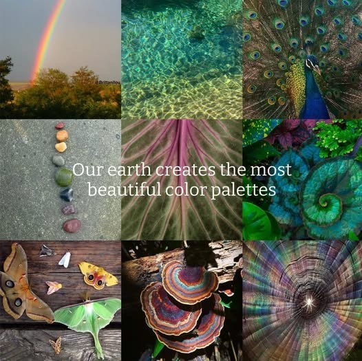 Brittanilow Our earth creates the most beautiful color palettes