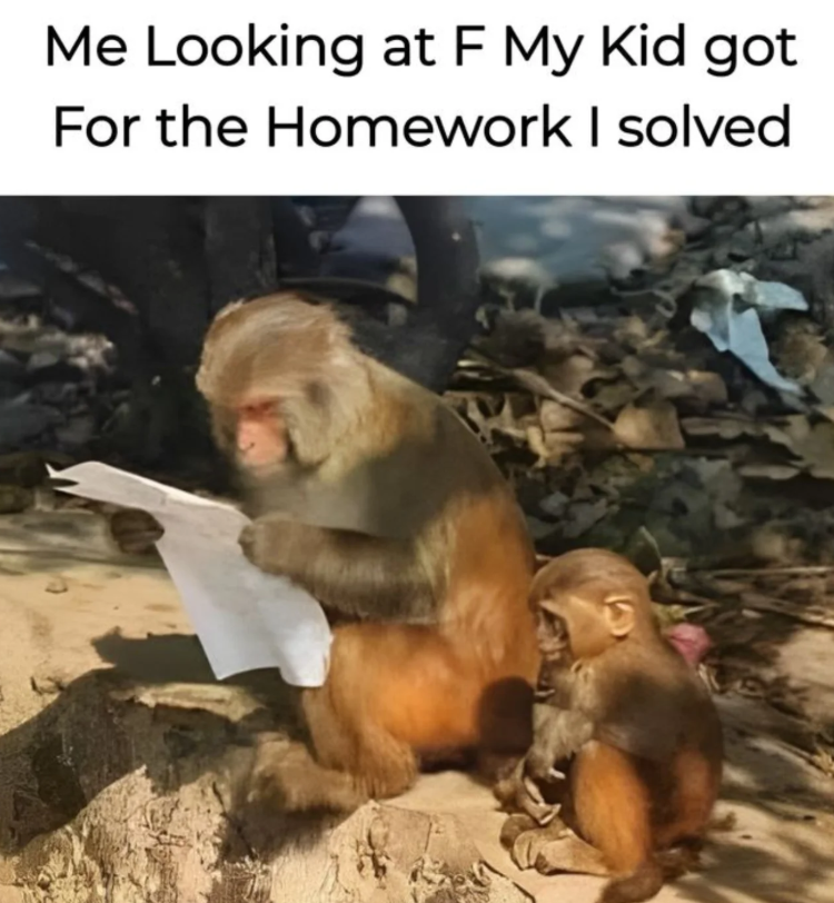 Me Looking at F My Kid got For the Homework I solved