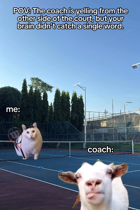 POV: The coach is yelling from the other side of the court, but your brain didn't catch a single word. me: coach: