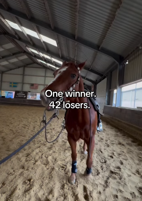 One winner. 42 losers.