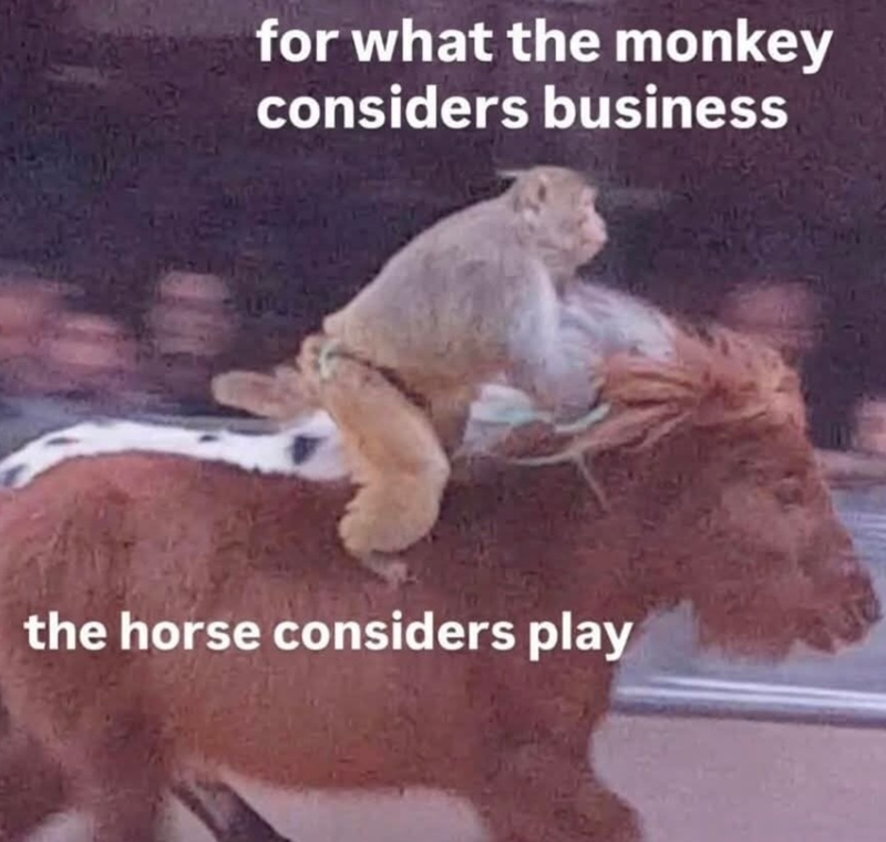 for what the monkey considers business the horse considers play