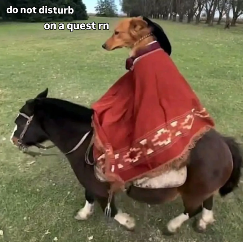do not disturb on a quest rn