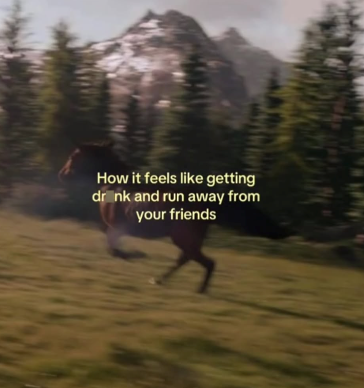 How it feels like getting dronk and run away from your friends