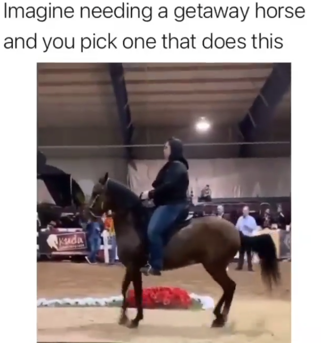 Imagine needing a getaway horse and you pick one that does this Kuda