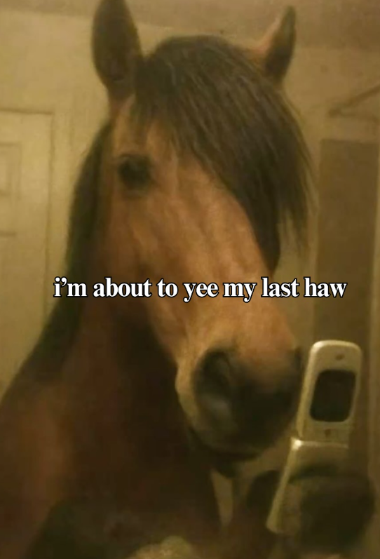 i'm about to yee my last haw