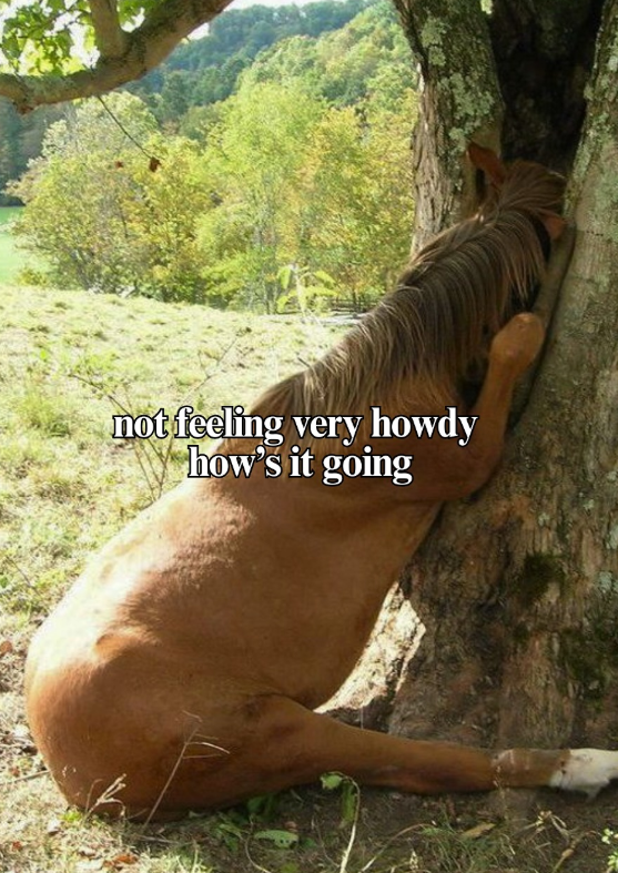 not feeling very howdy how's it going