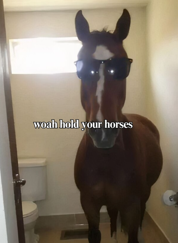 woah hold your horses