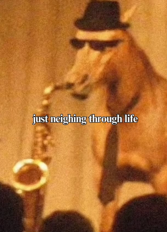 just neighing through life