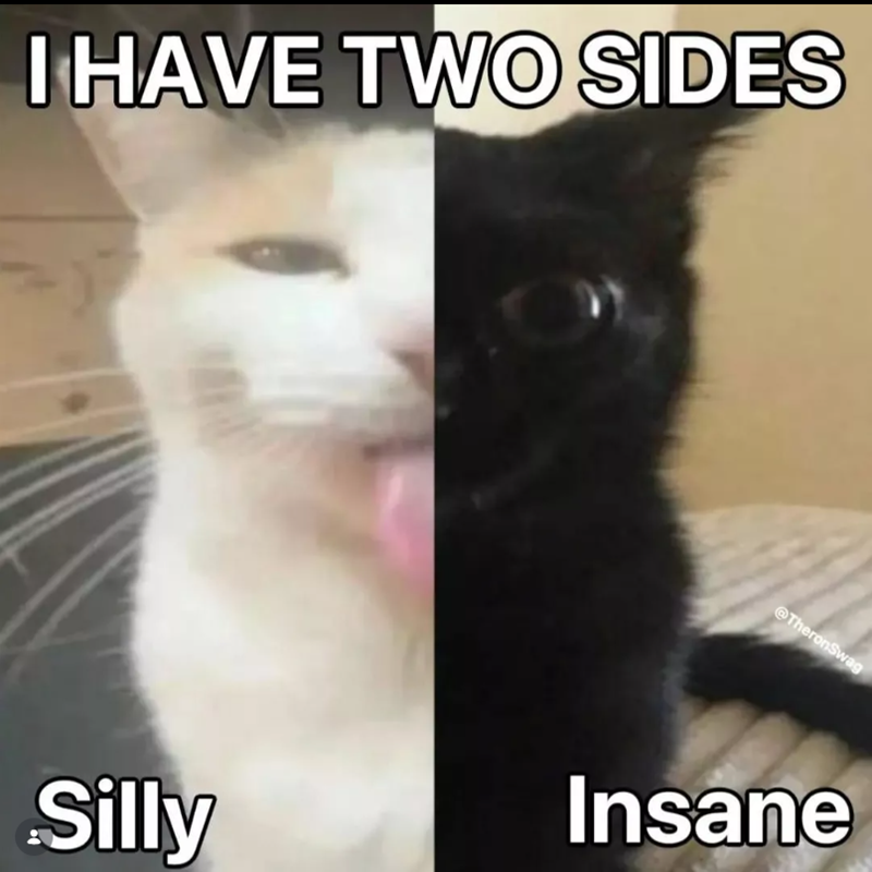 I HAVE TWO SIDES @TheronSwag Silly Insane