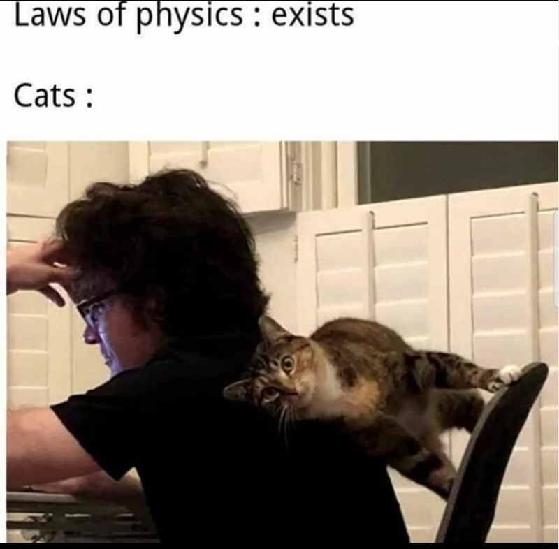 Laws of physics: exists Cats: