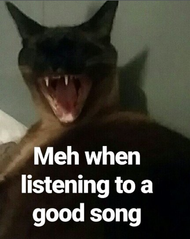 Meh when listening to a good song