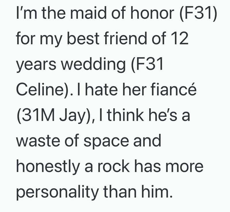 I'm the maid of honor (F31) for my best friend of 12 years wedding (F31 Celine). I hate her fiancé (31M Jay), I think he's a waste of space and honestly a rock has more personality than him.