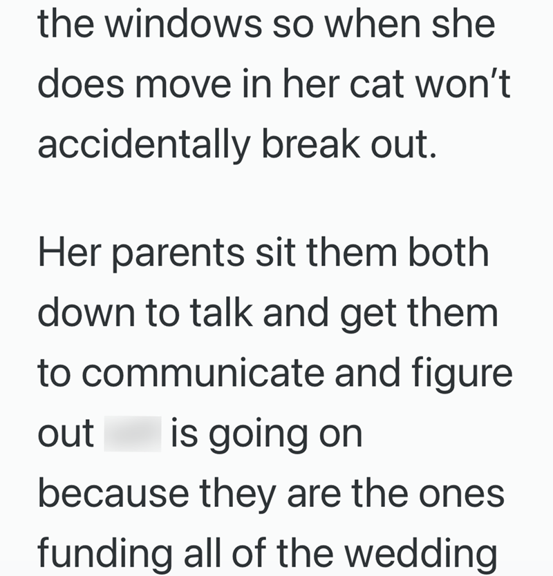 the windows so when she does move in her cat won't accidentally break out. Her parents sit them both down to talk and get them to communicate and figure out is going on because they are the ones funding all of the wedding