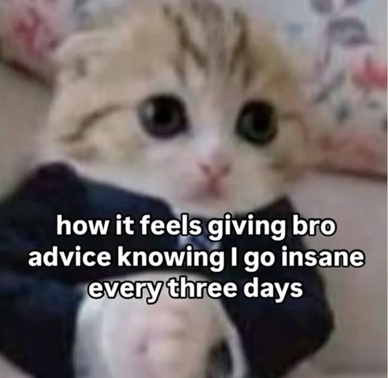 how it feels giving bro advice knowing I go insane every three days