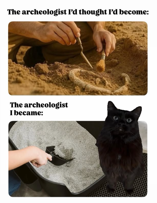 The archeologist I'd thought I'd become: The archeologist I became: