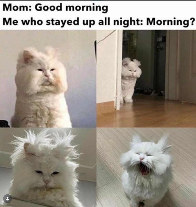 Mom: Good morning Me who stayed up all night: Morning?