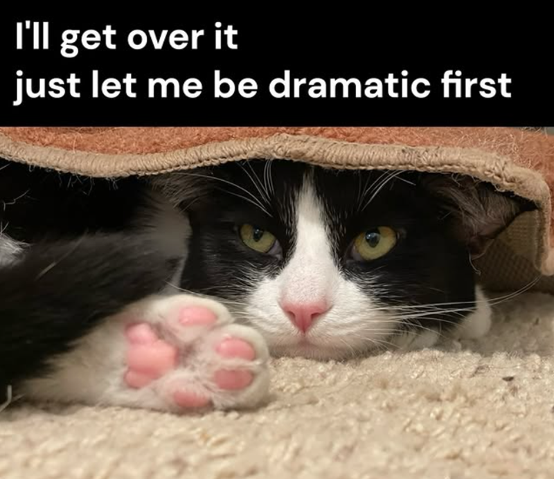 I'll get over it just let me be dramatic first