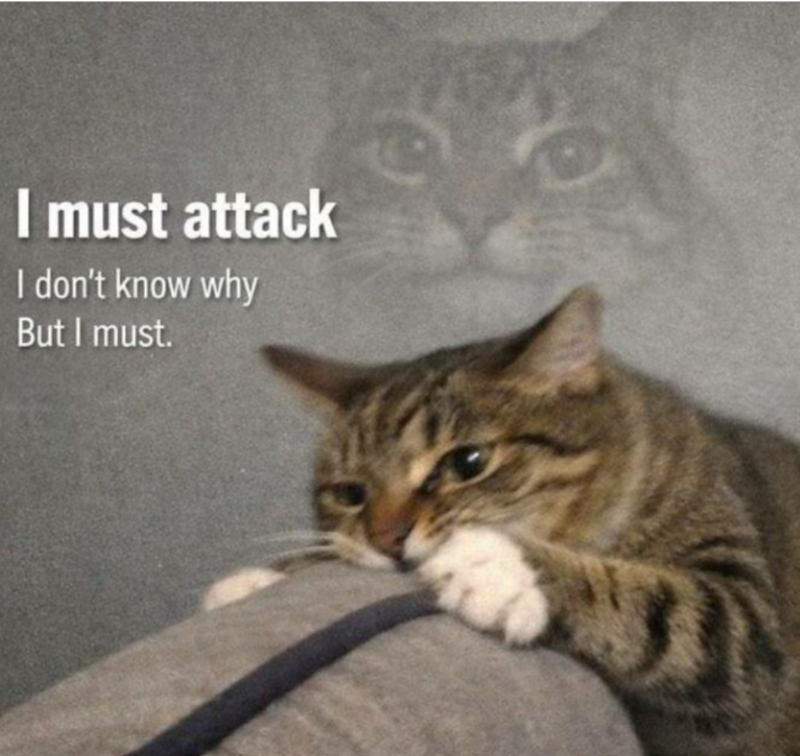I must attack I don't know why But I must.