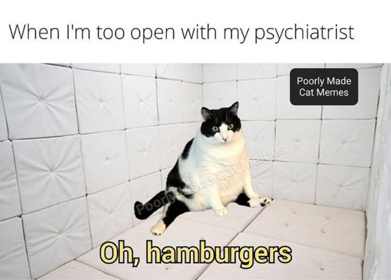 When I'm too open with my psychiatrist Poors Cade cau vermes Oh, hamburgers Poorly Made Cat Memes