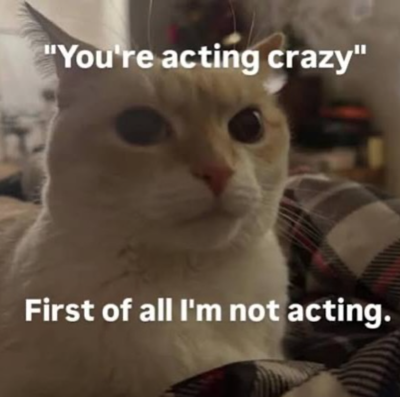 "You're acting crazy" First of all I'm not acting.
