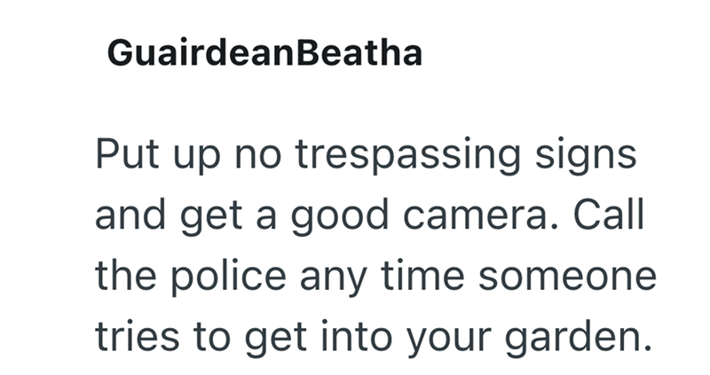 GuairdeanBeatha Put up no trespassing signs and get a good camera. Call the police any time someone tries to get into your garden.