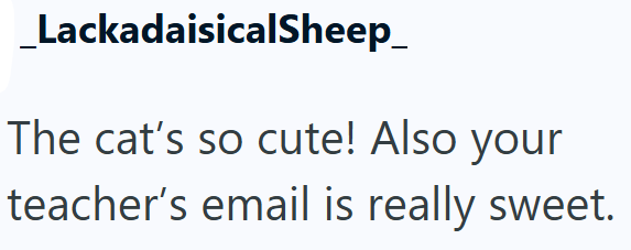 _LackadaisicalSheep_ The cat's so cute! Also your teacher's email is really sweet.