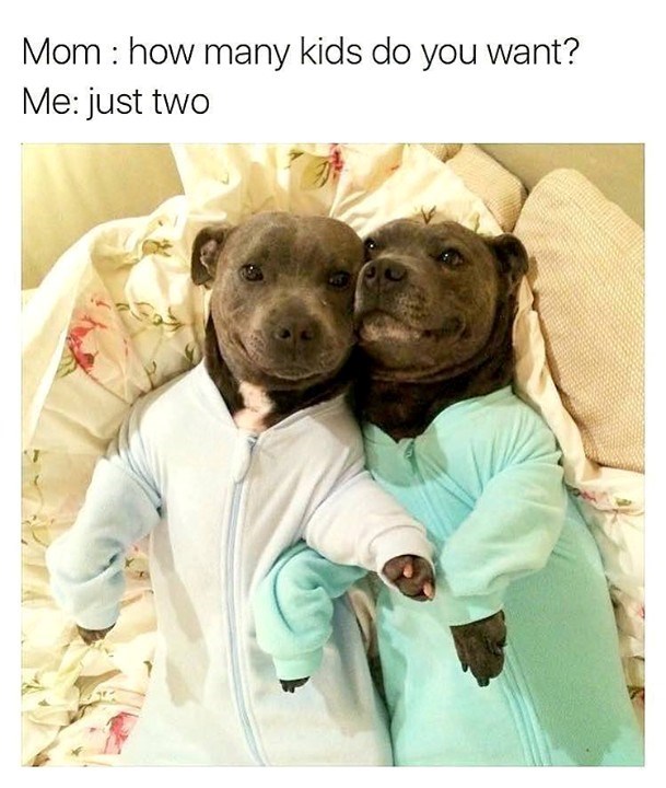 Mom: how many kids do you want? Me: just two