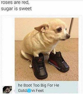 roses are red, sugar is sweet Eveganoverford he Boot Too Big For He Gotdann Feet