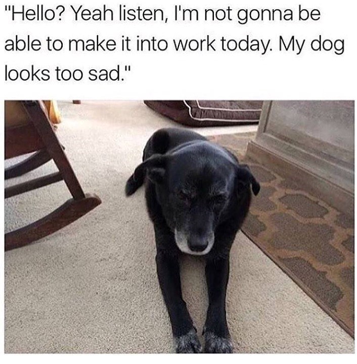 "Hello? Yeah listen, I'm not gonna be able to make it into work today. My dog. looks too sad."