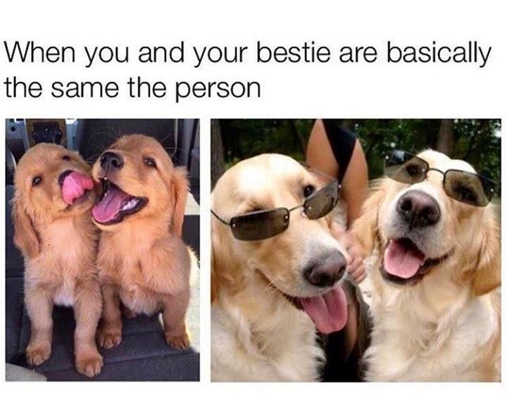 When you and your bestie are basically the same the person