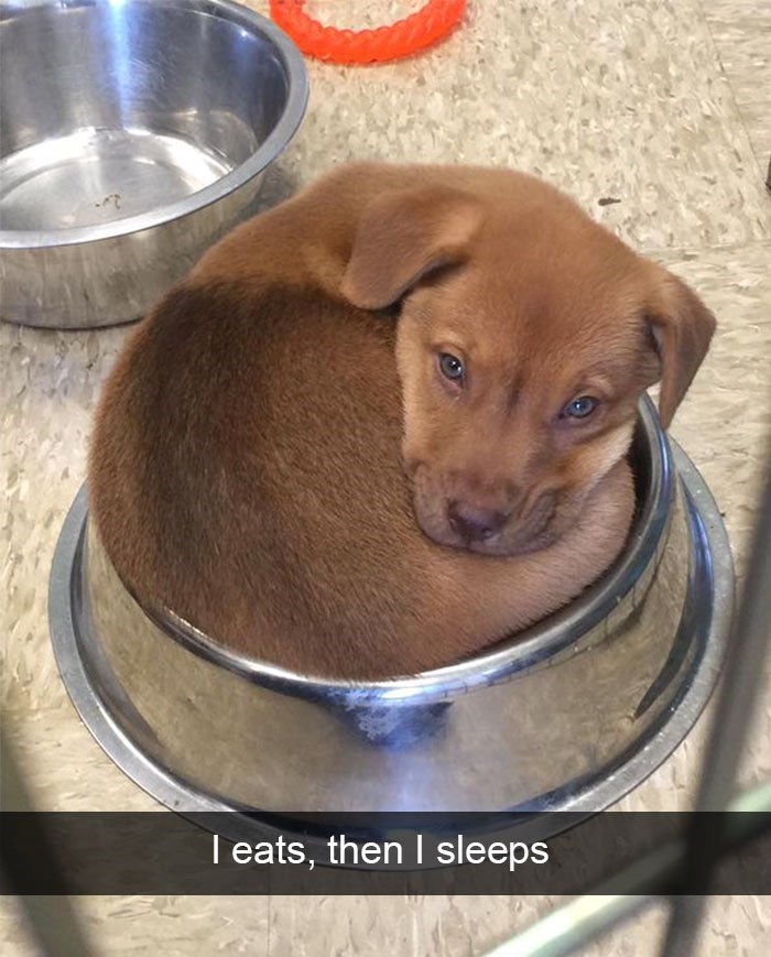 I eats, then I sleeps