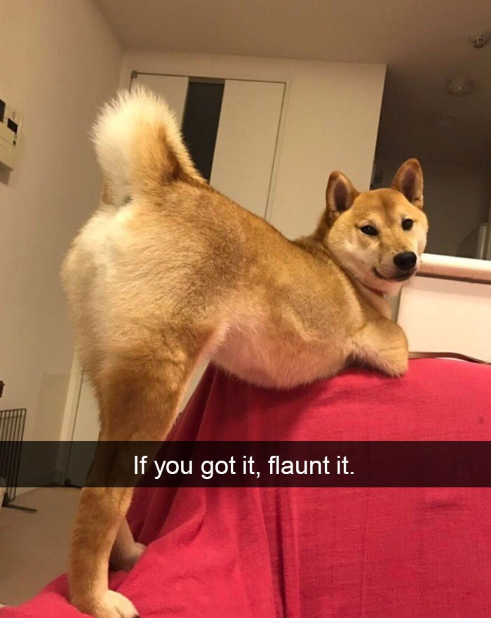 If you got it, flaunt it.