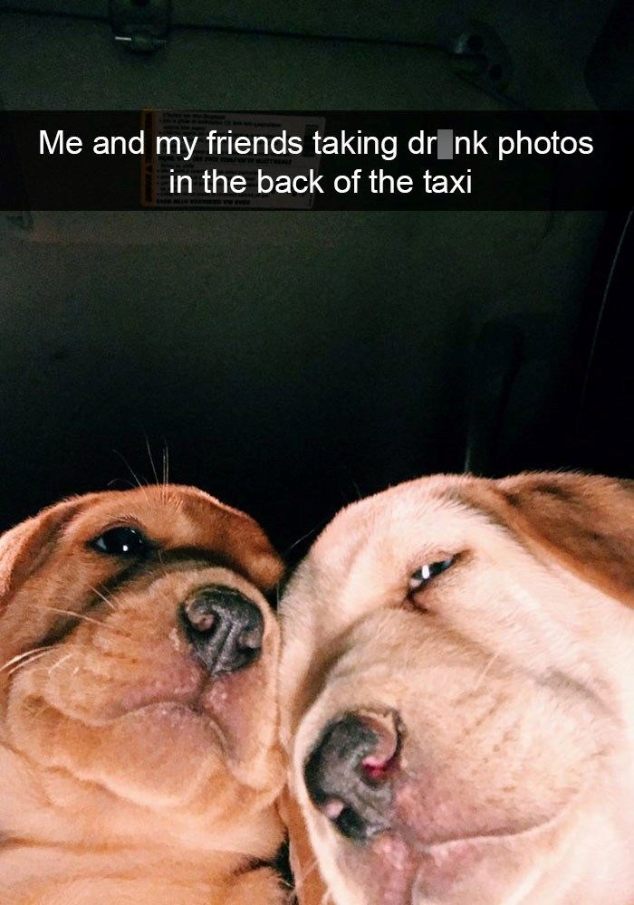 Me and my friends taking drink photos in the back of the taxi
