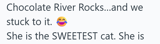Chocolate River Rocks...and we stuck to it. She is the SWEETEST cat. She is