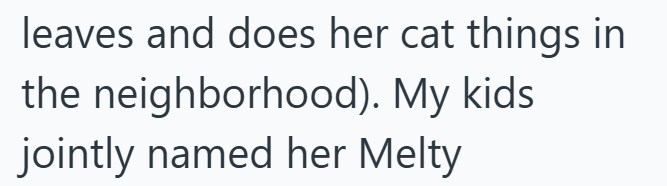 leaves and does her cat things in the neighborhood). My kids jointly named her Melty