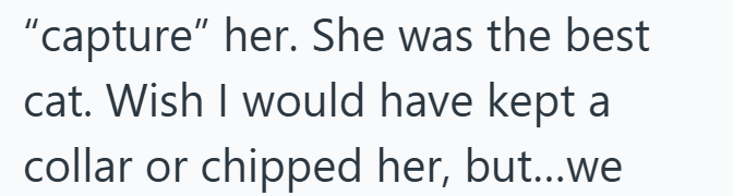 "capture" her. She was the best cat. Wish I would have kept a collar or chipped her, but...we