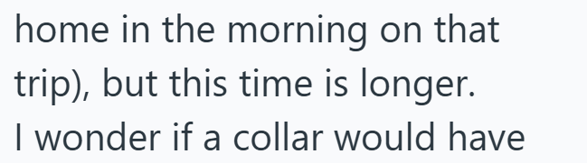 home in the morning on that trip), but this time is longer. I wonder if a collar would have
