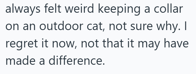 always felt weird keeping a collar on an outdoor cat, not sure why. I regret it now, not that it may have made a difference.