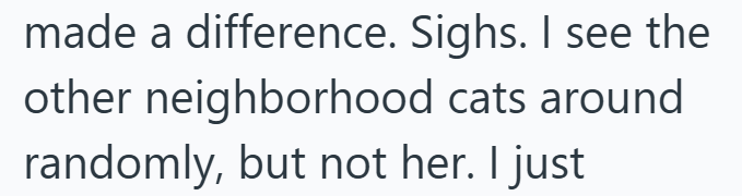 made a difference. Sighs. I see the other neighborhood cats around randomly, but not her. I just