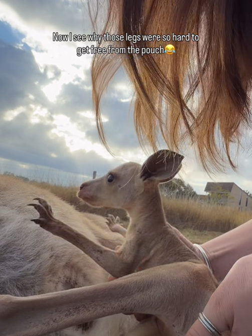 Now I see why those legs were so hard to get free from the pouch