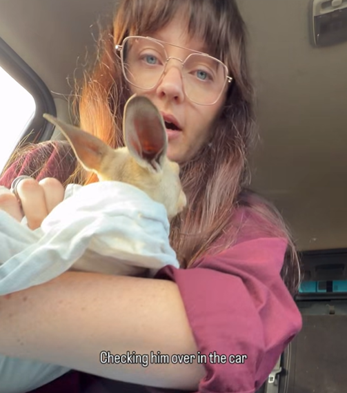 Checking him over in the car