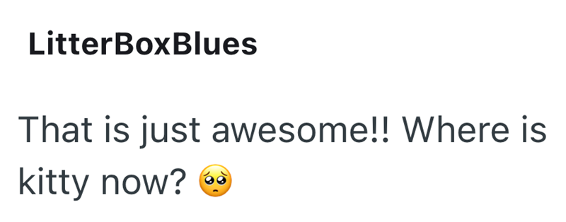 LitterBoxBlues That is just awesome!! Where is kitty now? →