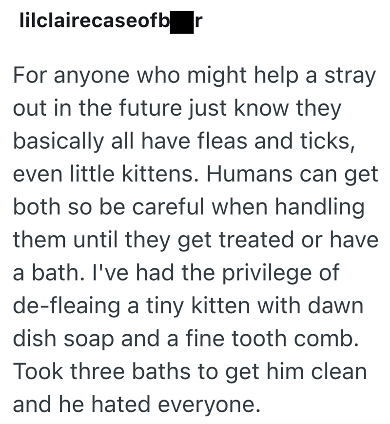 lilclairecaseofb| r For anyone who might help a stray out in the future just know they basically all have fleas and ticks, even little kittens. Humans can get both so be careful when handling them until they get treated or have a bath. I've had the privilege of de-fleaing a tiny kitten with dawn dish soap and a fine tooth comb. Took three baths to get him clean and he hated everyone.