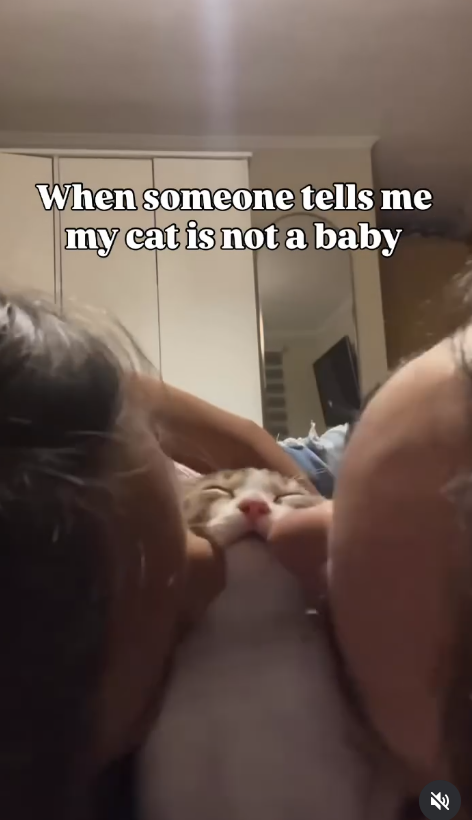 When someone tells me my cat is not a baby